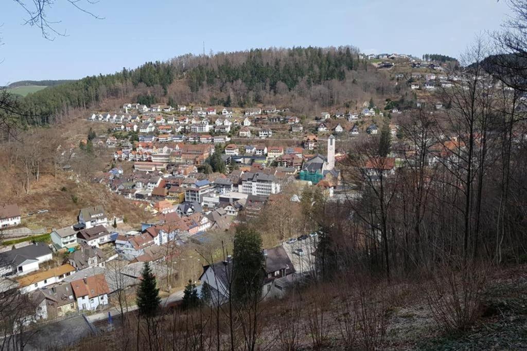 2 Rooms Apartment In Triberg Триберг Экстерьер фото